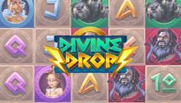 logo Divine Drop