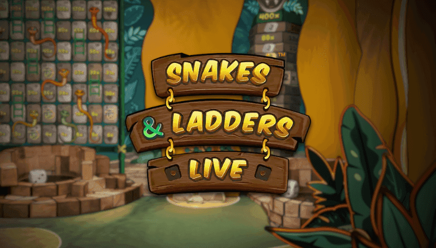 banner Snake and Ladders